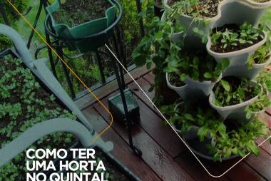 Como escolher o lugar ideal para uma horta em casa