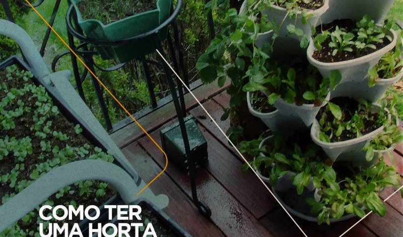 Como escolher o lugar ideal para uma horta em casa Pensando em começar uma pequena horta para sua família no quintal de casa? Então veja essas dicas que separamos para te ajudar.